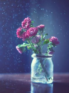 Spring days by Ashraful Arefin on 500px
